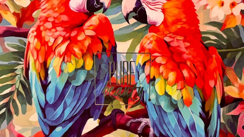 PURE BEAUTY – LUSH OASIS